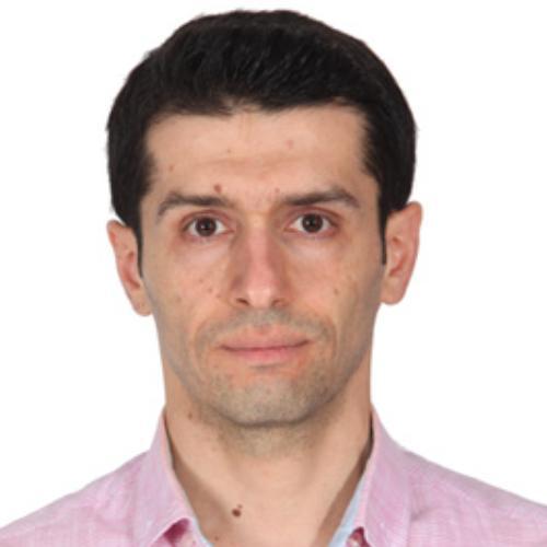 HOSSEINI SEYEDMOHSEN